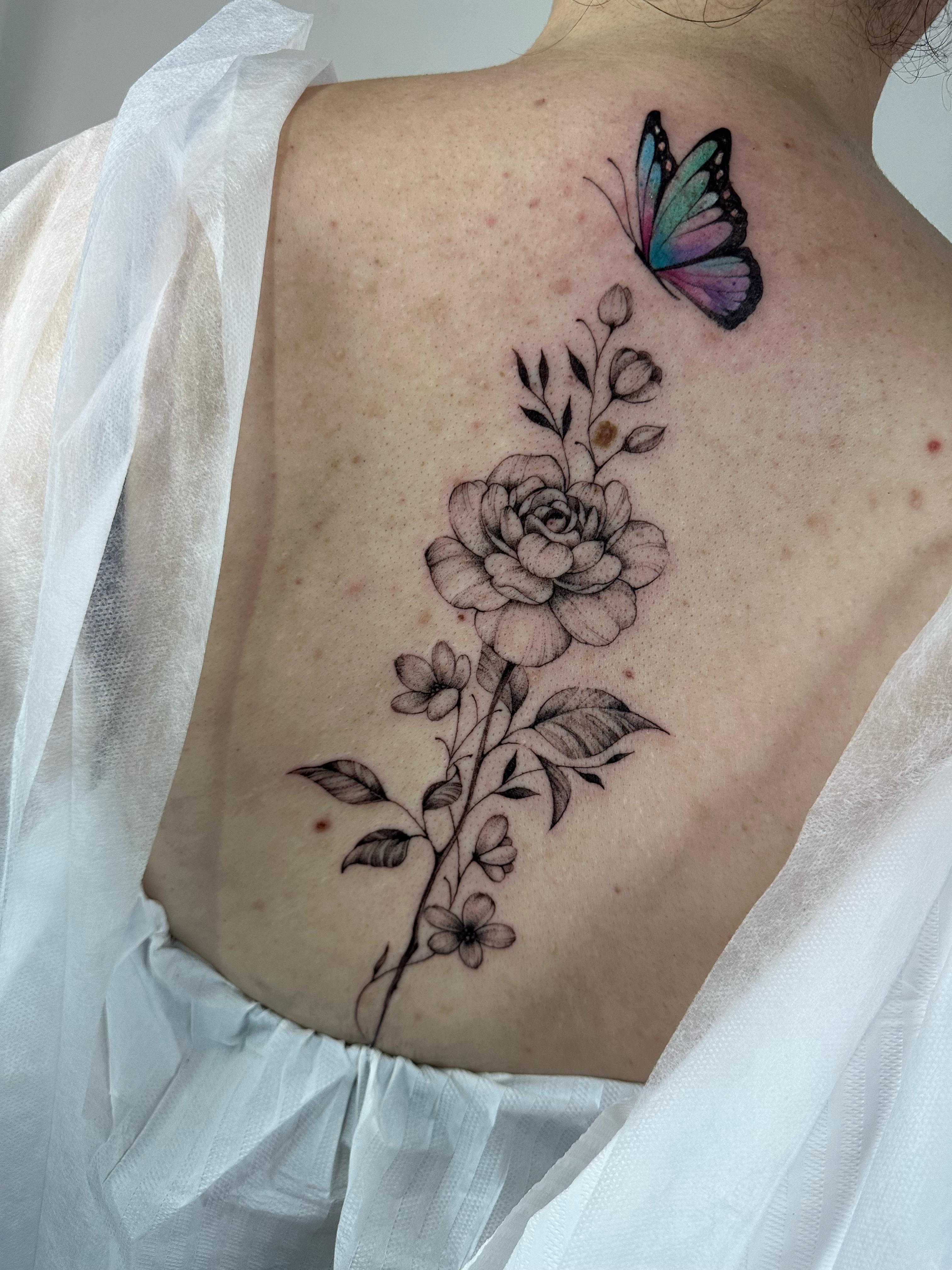 WhatsApp Image 2025-04-15 at 15.45.18.jpeg